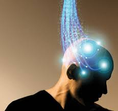 The Architecture of Analytical Calm: How Structured Platforms Reduce Cognitive Turbulence and Support Clear Thinking