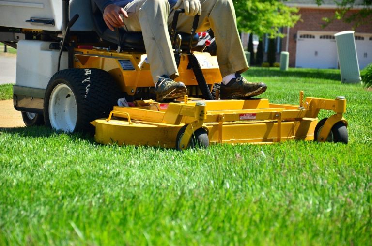The True Value of Lawn Care for Your Property