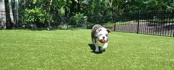 Step by Step Guide to Installing Artificial Turf in a Dog Area
