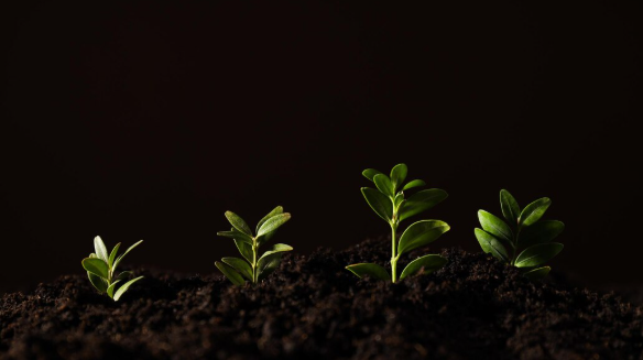 The Science behind Clean, Consistent Germination